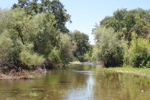 Tuolumne River Conservancy California - Duck Slough